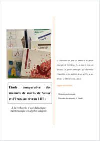 Memoire professionnel_Hosseinian_Sayeh_2020